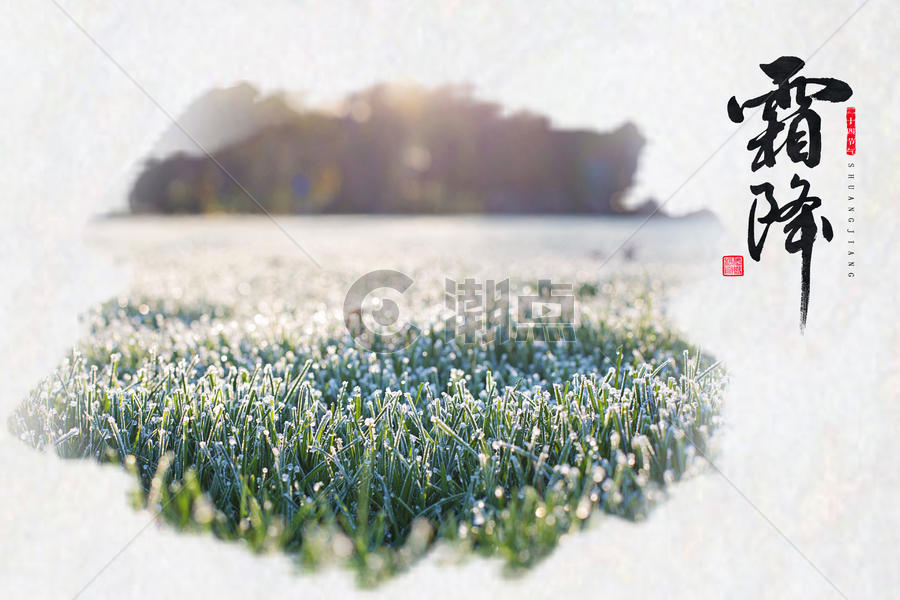 霜降草丛背景图片素材免费下载