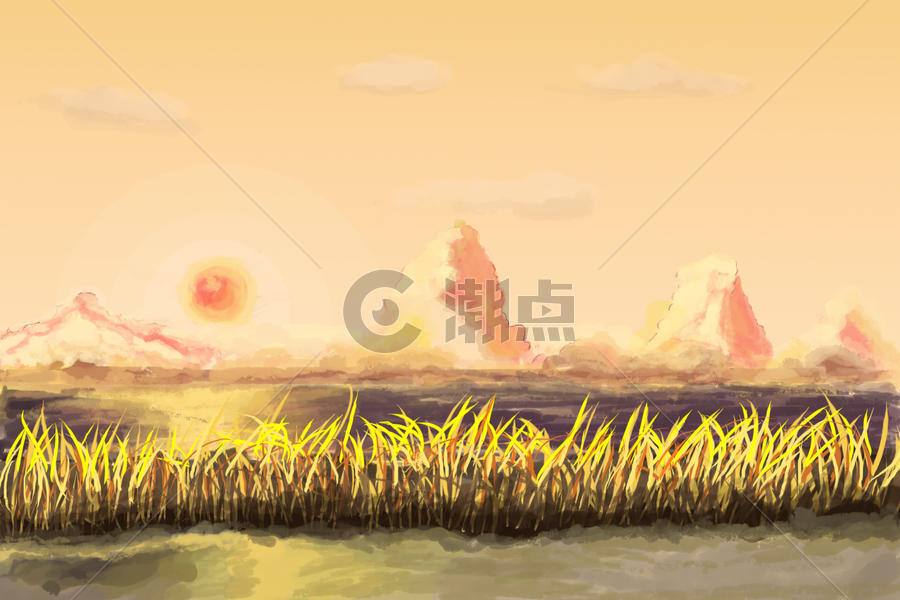 夕阳落日的稻田图片素材免费下载