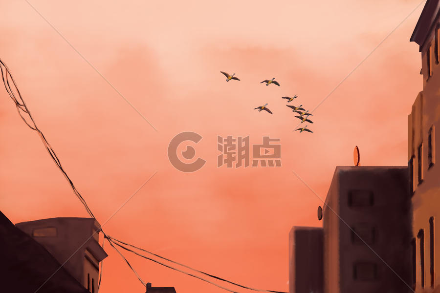 现代城市中夕阳下的归鸟背景图片素材免费下载