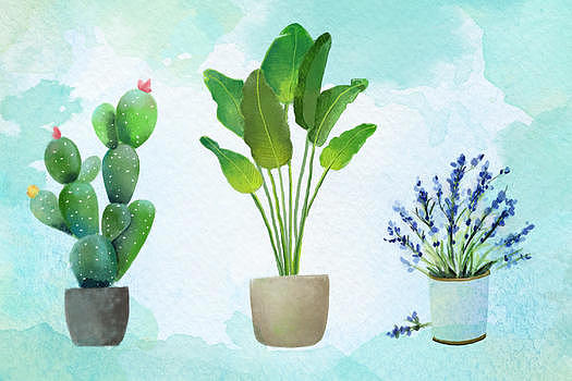 绿色小清新植物图片素材免费下载