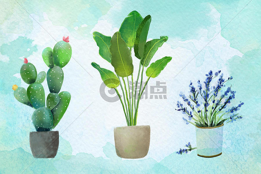 绿色小清新植物图片素材免费下载