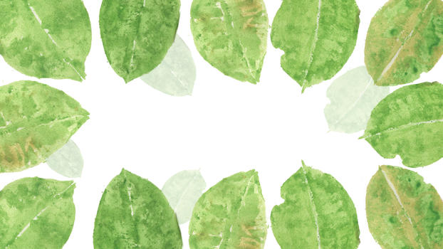 叶子水彩大叶子绿色背景图片素材免费下载