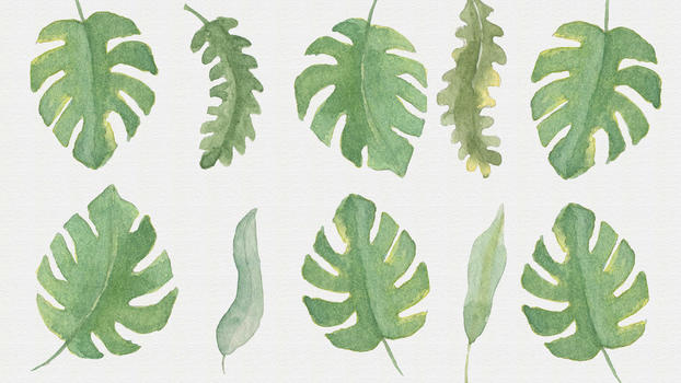热带植物绿色背景手绘图片素材免费下载