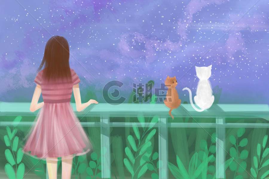 星空下的少女和猫图片素材免费下载