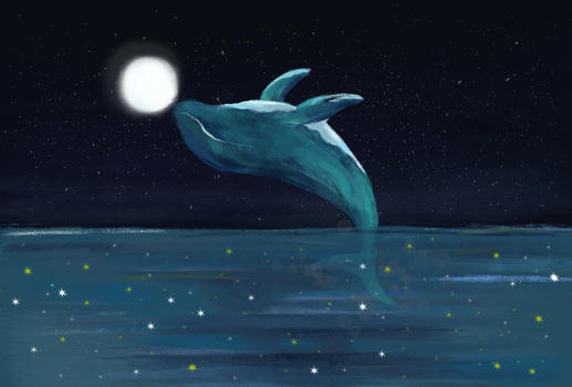 星空下的海豚图片素材免费下载