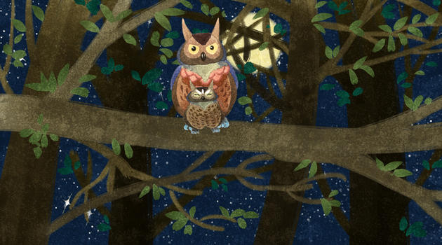 黑夜森林里的猫头鹰母子（父子）图片素材免费下载
