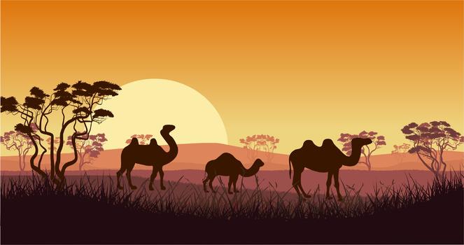 沙漠里的骆驼图片素材免费下载