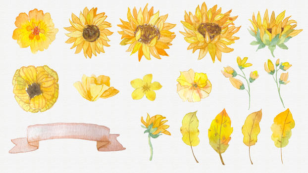 水彩花朵叶子素材图片素材免费下载