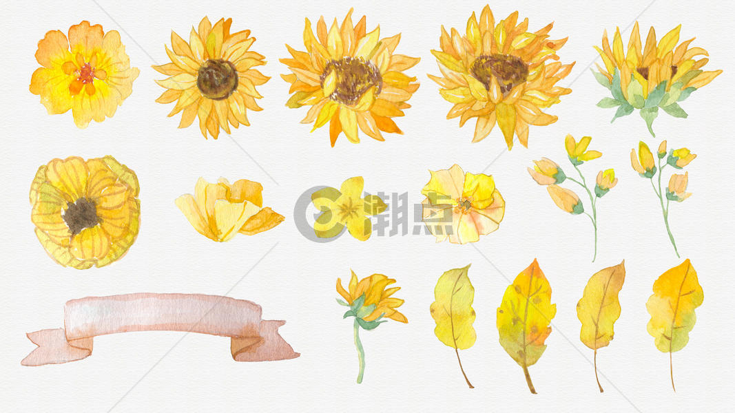水彩花朵叶子素材图片素材免费下载