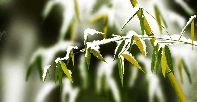 冬季竹子雪景图片素材免费下载