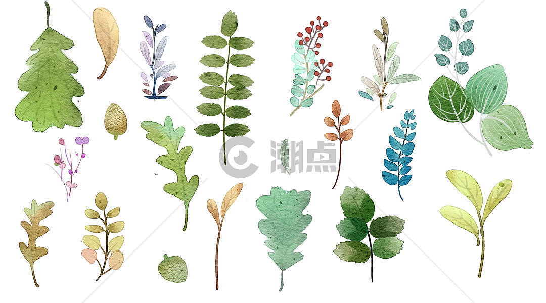 水彩植物图片素材免费下载