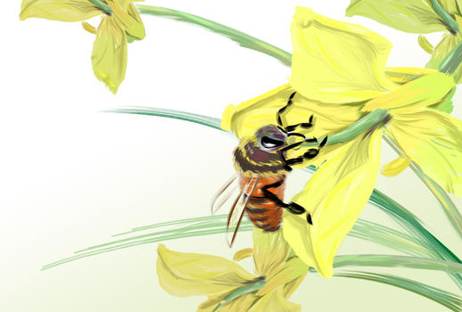 蜜蜂的春图片素材免费下载