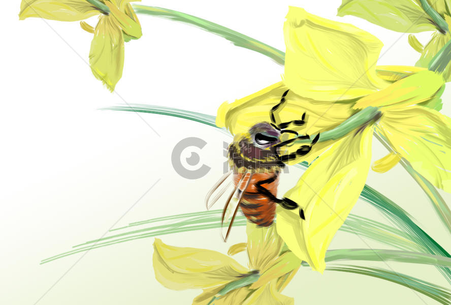 蜜蜂的春图片素材免费下载