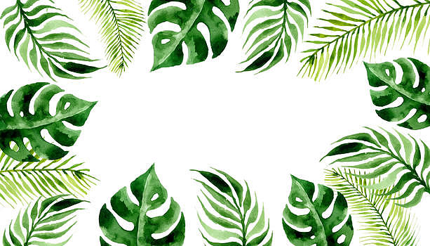 夏季水彩植物叶子背景图片素材免费下载
