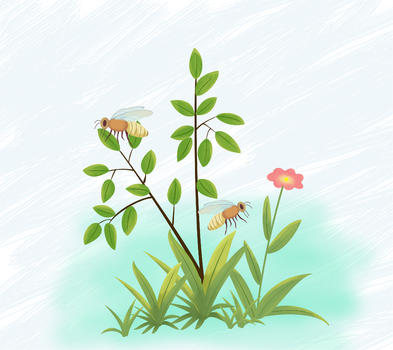 植物和蜜蜂图片素材免费下载