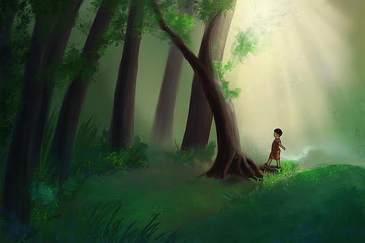 森林里的男孩图片素材免费下载