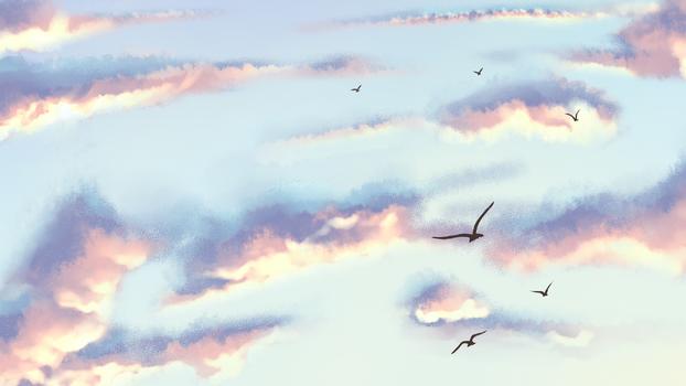 彩霞天空和鸟图片素材免费下载