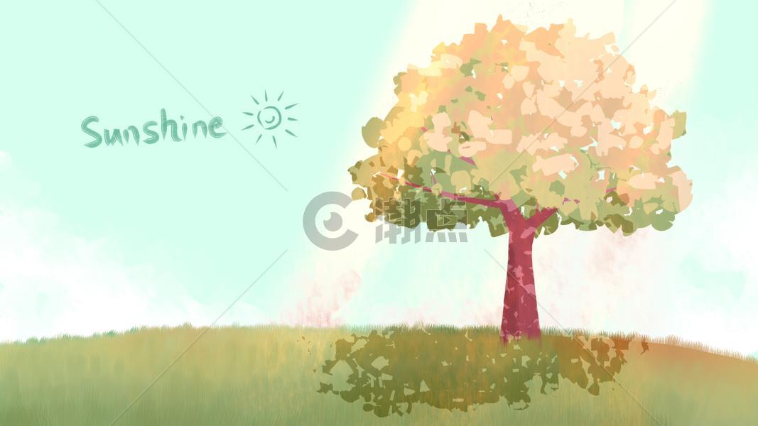 阳光治愈树图片素材免费下载