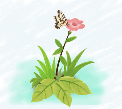 植物和蝴蝶图片素材免费下载
