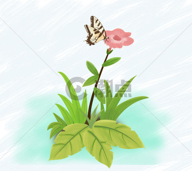 植物和蝴蝶图片素材免费下载