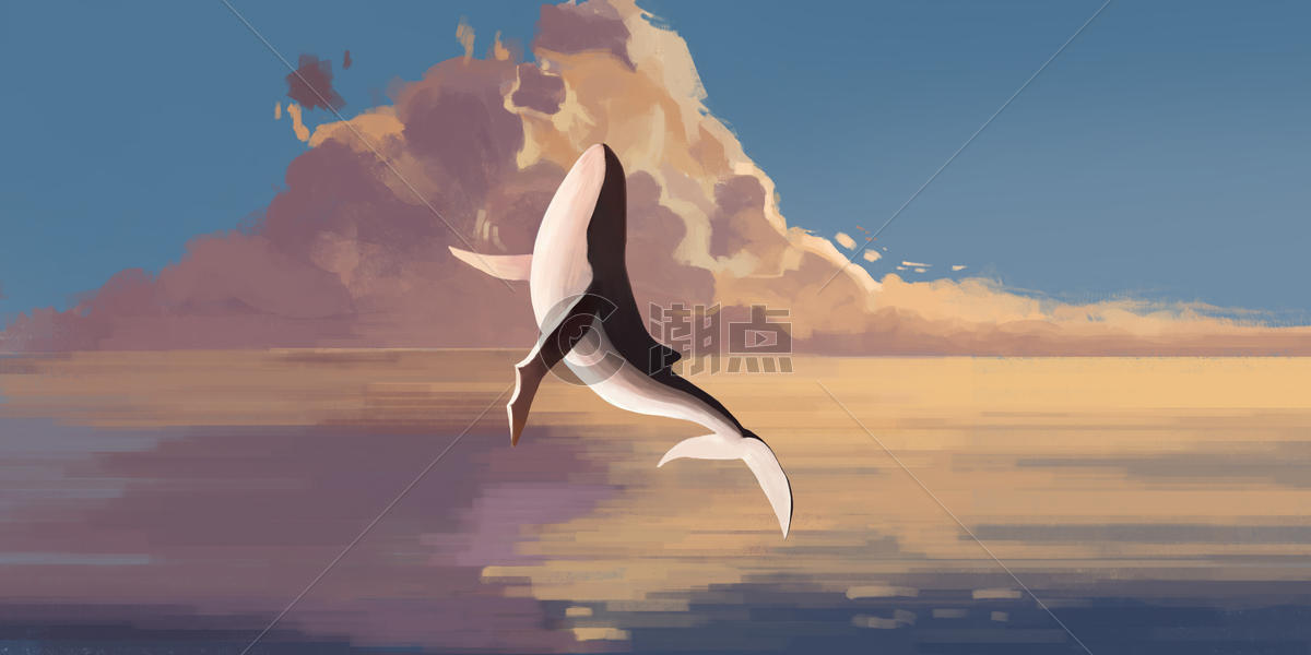 海洋鲸鱼夕阳插画图片素材免费下载
