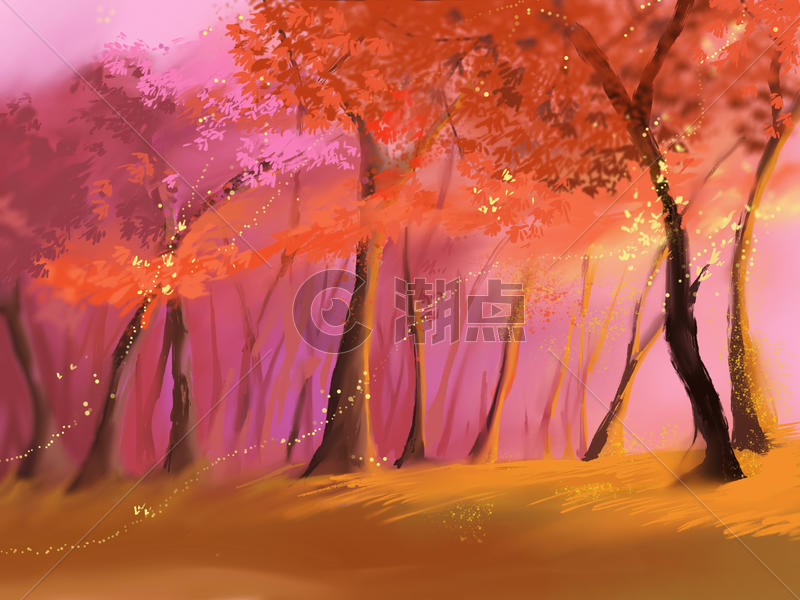 夕阳中的枫树林图片素材免费下载
