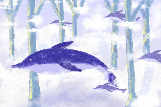 冬季的海豚图片素材免费下载