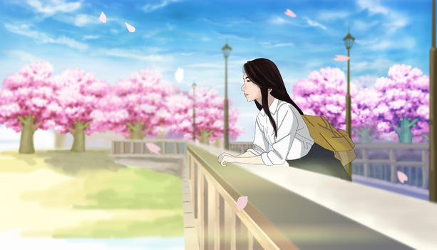 樱花桥上的少女图片素材免费下载