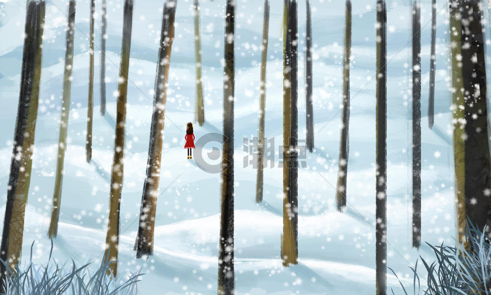 冬季树林图片素材免费下载