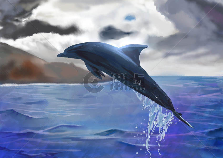 海豚图片素材免费下载