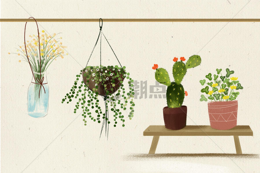绿色植物和花卉图片素材免费下载