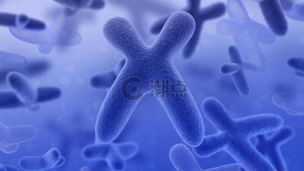 染色体三维图图片素材免费下载