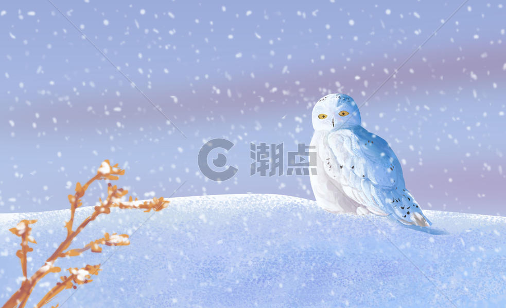 冬季的鸟图片素材免费下载