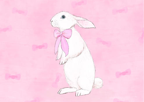 小兔子动物插画图片素材免费下载