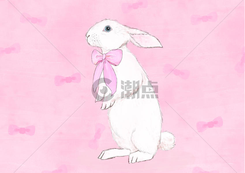 小兔子动物插画图片素材免费下载