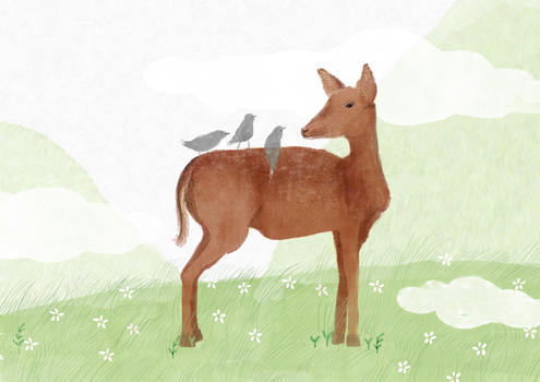 麋鹿动物插画图片素材免费下载