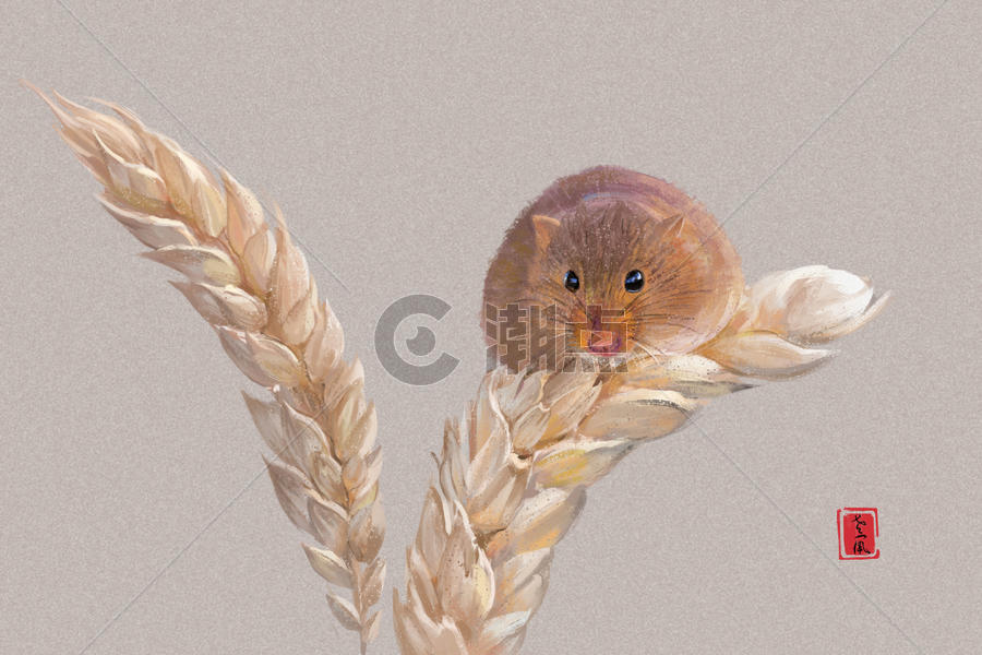 麦穗上的老鼠图片素材免费下载