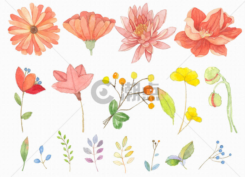花卉元素背景图片素材免费下载