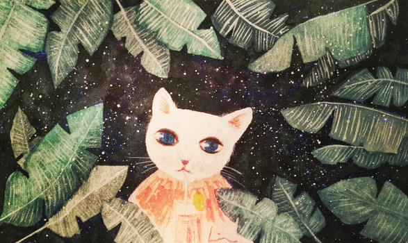 星空下的猫治愈系插画图片素材免费下载