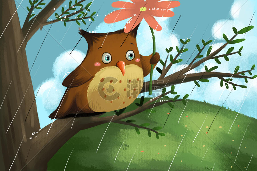 雨中的猫头鹰图片素材免费下载