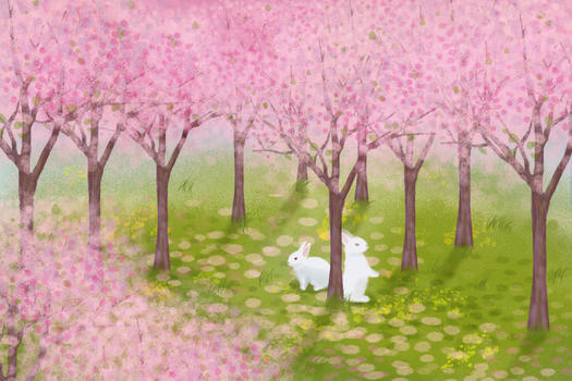 春暖花开兔追樱花香图片素材免费下载