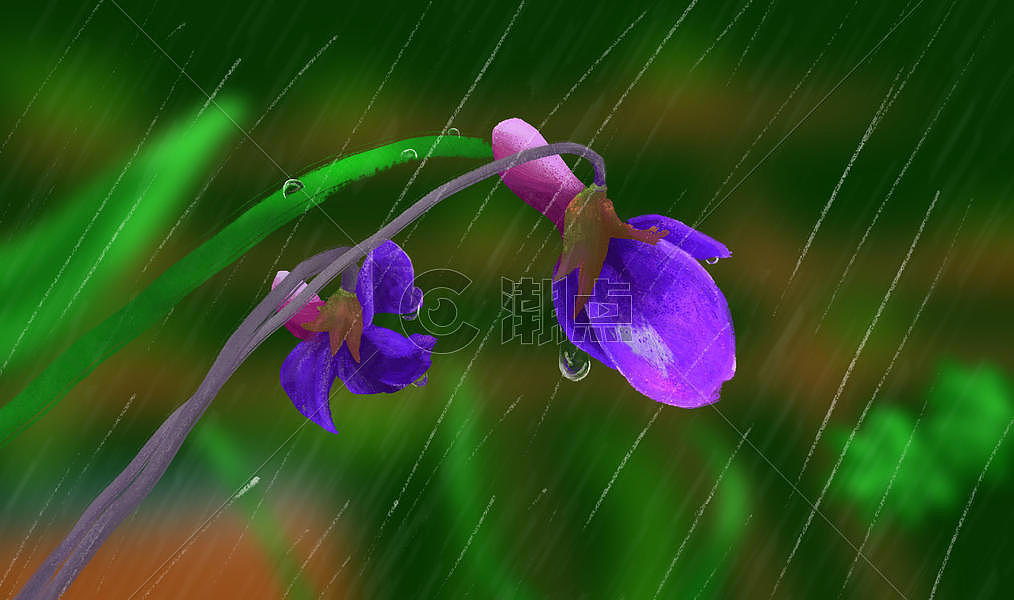 雨里的花朵图片素材免费下载