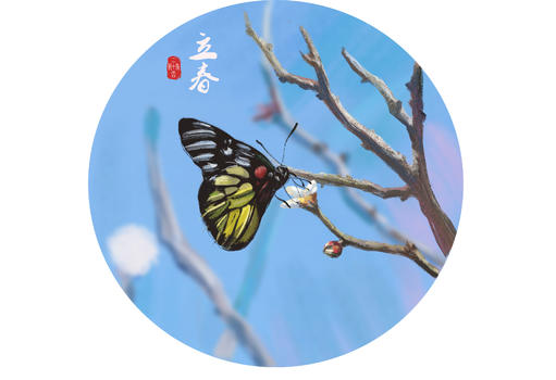 春天里的蝴蝶图片素材免费下载