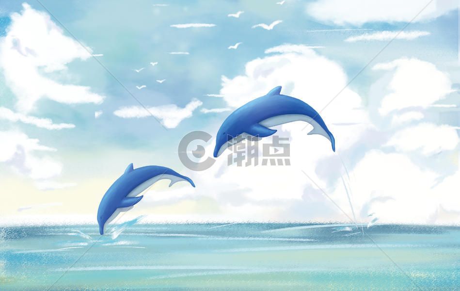 自由翱翔的海豚图片素材免费下载