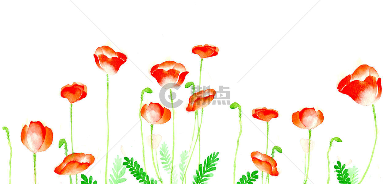 水彩花卉植物景图片素材免费下载
