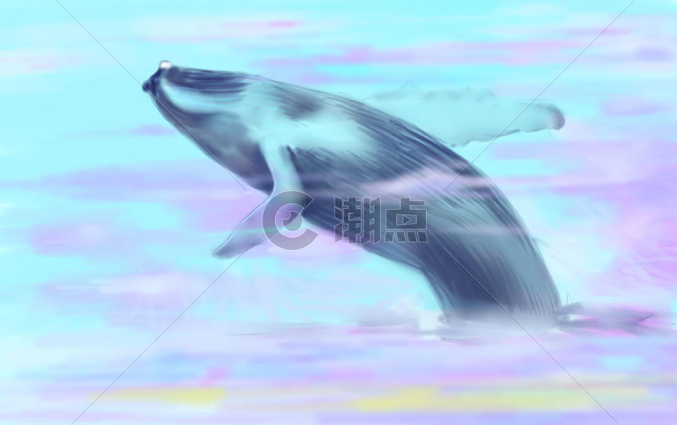 云上蓝鲸图片素材免费下载