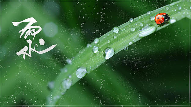传统节日雨水节气图片素材免费下载