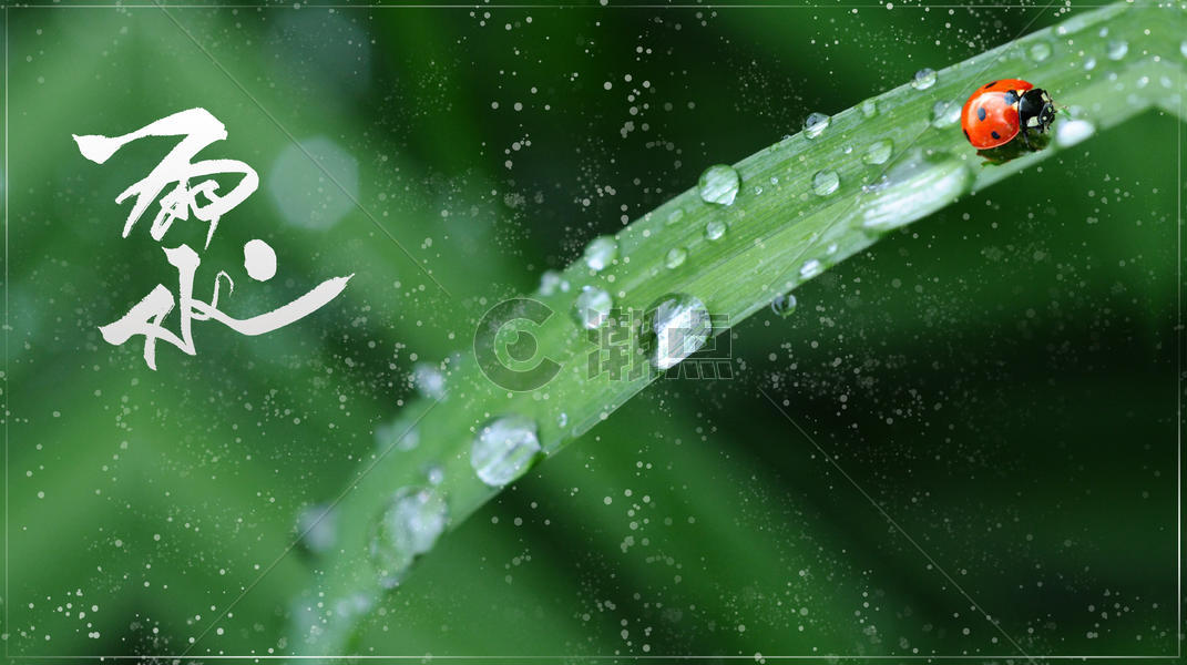传统节日雨水节气图片素材免费下载