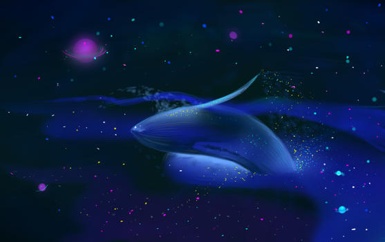 夜晚时空中的鲸鱼图片素材免费下载