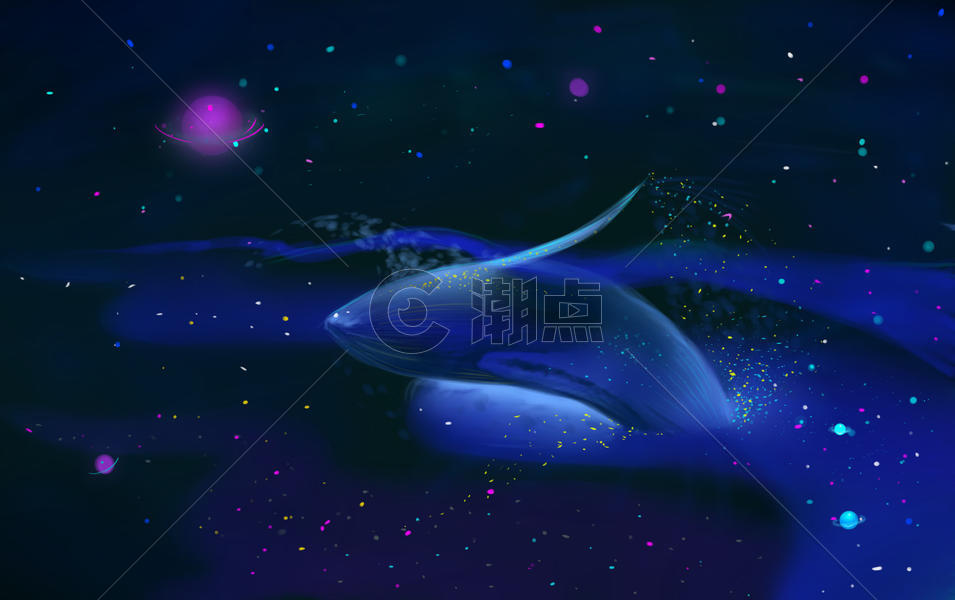 夜晚时空中的鲸鱼图片素材免费下载